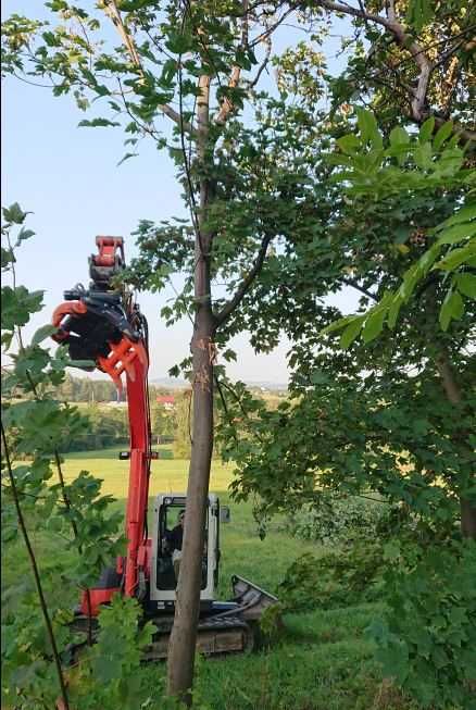Wycinka karczowanie drzew, obcinanie gałęzi, wykaszanie, rębak zrębka.