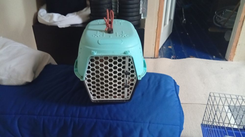 Transporter dla królika