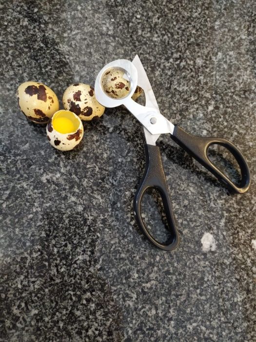 Tesouras de Ovos de Codorniz