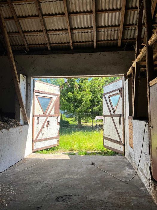 Dzierżawa stajni, wynajem, hodowla koni