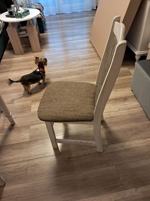 Sprzedam stół+4 krzesła