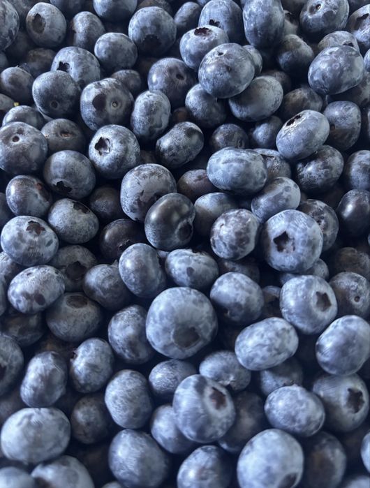 Mertilio  fruta.
