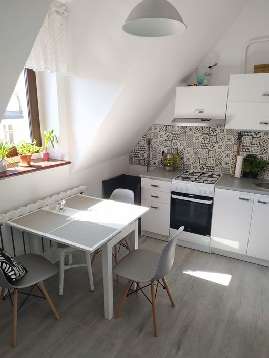 Mieszkanie – Wrocław, Dzielnica Czterech Wyznań, Stare Miasto - Widok 5