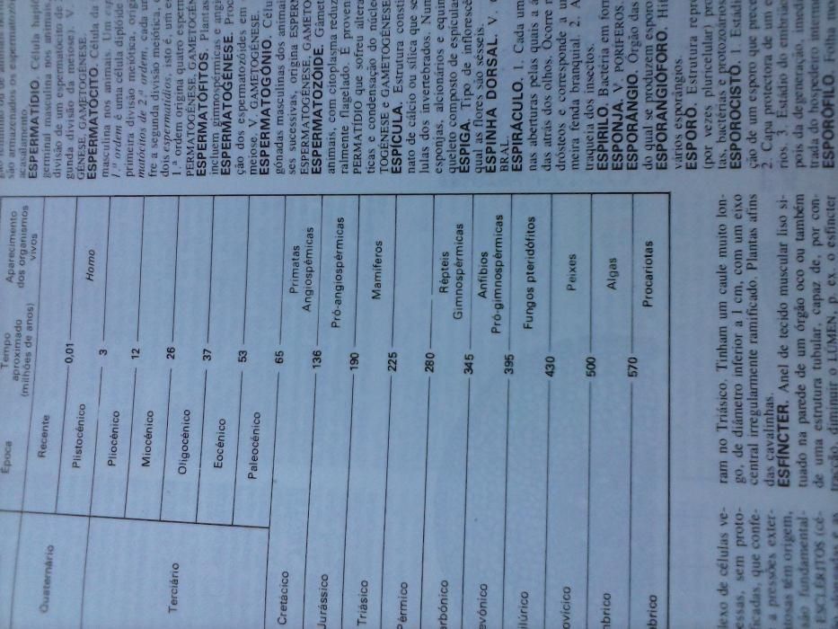 Dicionário Enciclopédico em 3 volumes