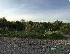 Земельна ділянка в селі Посіч 11км від Франківська (1)