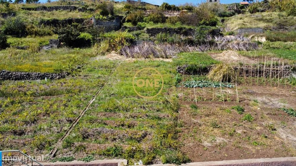 Land Plot