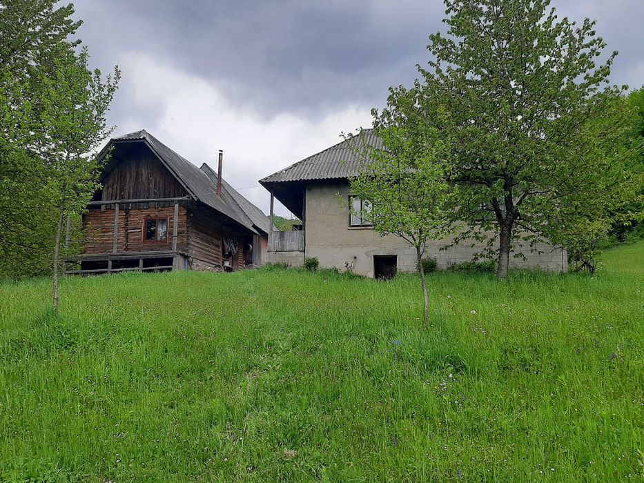 Продам будинок та земельну ділянку