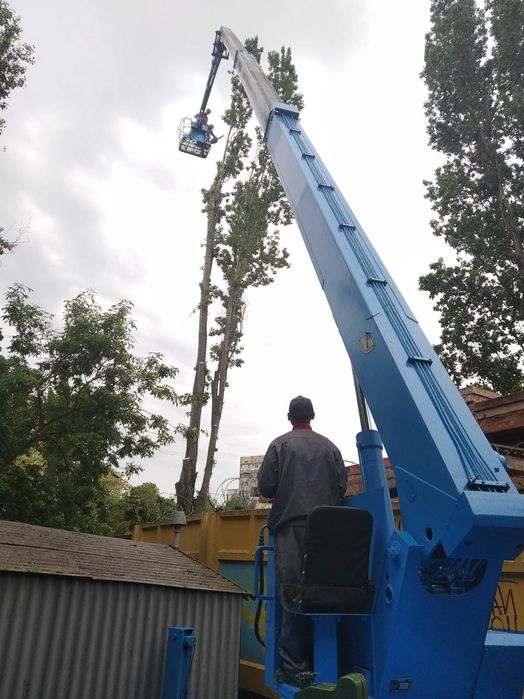 Обрезка и спил деревьев с автовышки.