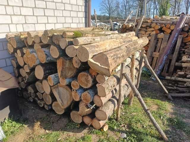 drzewo kominkowe dąb brzoza