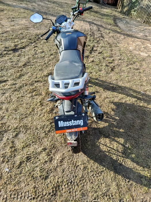 Mustang Region 200