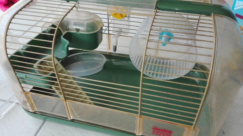 Gaiola amster + bola atividades