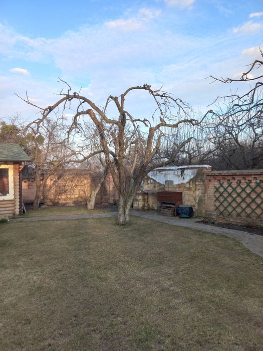 Обрізка плодових дерев