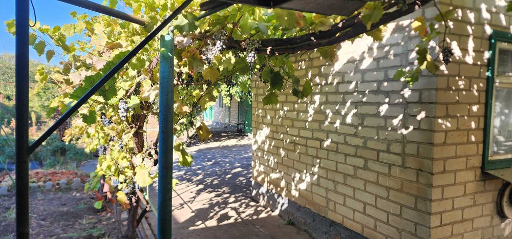 Продається будинок з гаражом в центрі по вул.Удільна