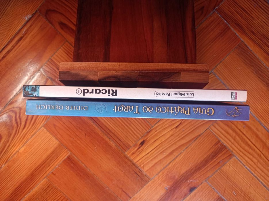 Livros Guia prático do Tarot / Ricardo, Diário de um sonho