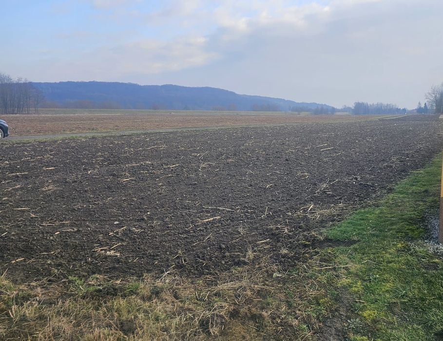 Płaska działka 17,3 ara | Zjazd, Media, Prąd na działce | Spytkowice - Widok 2