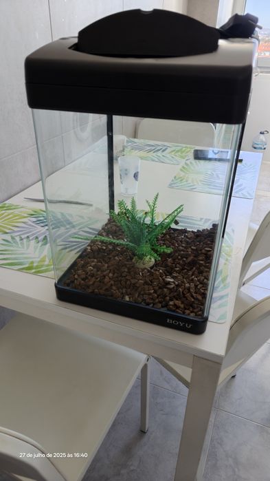 Aquário Panorâmico Boyu