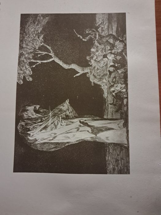 Los Proverbios (Disparates) de Goya por António de Horna