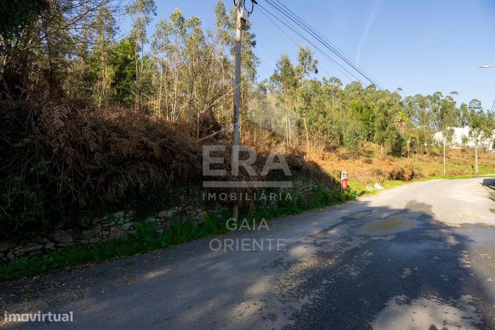 Terreno 1500 m² em Sanguedo