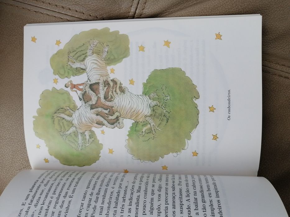 Livro O Princepezinho de Saint Exuperi,