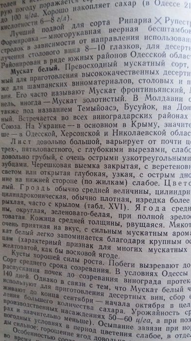 Настольная книга виноградаря