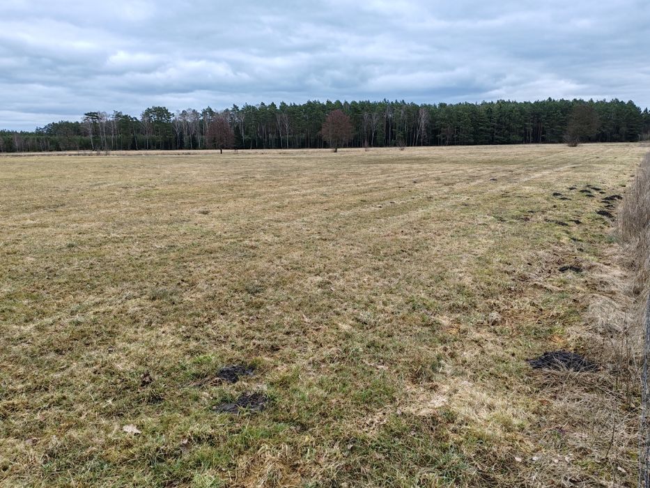 Sprzedam grunty rolne