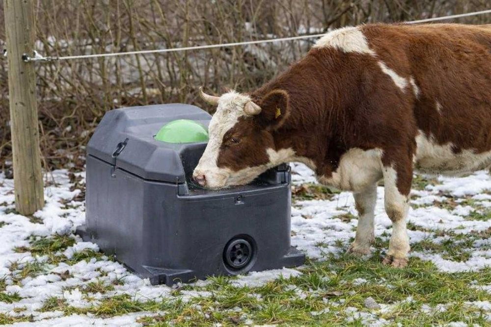 Poidło niezamarzające Kerbl – mrozoodporne aż do - 30°C ! 40 LITRÓW