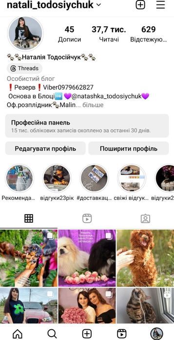 Мраморна красуня таксочка для броні