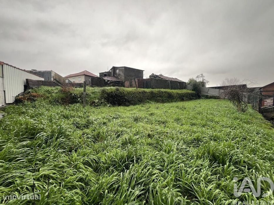 Moradia térrea em Campo e Sobrado de 80 m2
