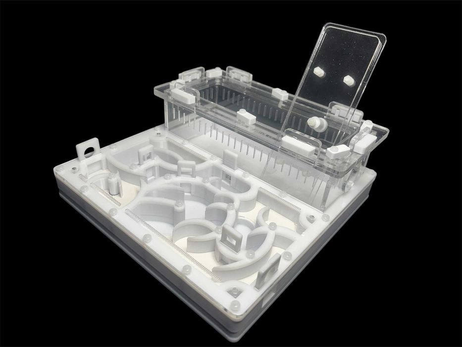 Купити мурашину ферму 20х20 см за 1100 грн – модерн для мурашок