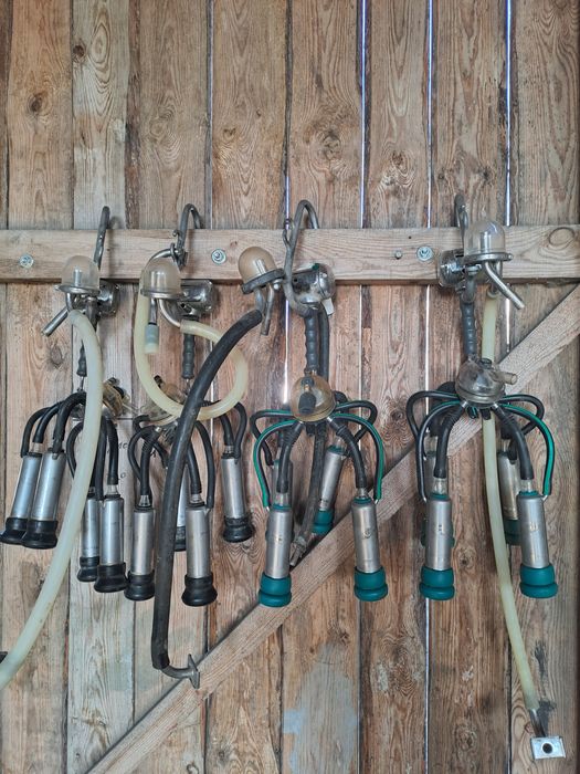 Aparaty udojowe westfalia