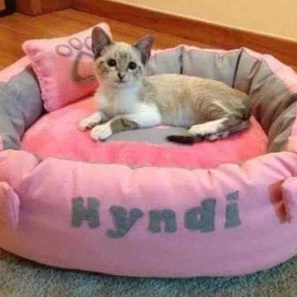 Camas,ninhos e acessórios