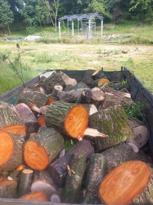 Sprzedam drewno opałowe