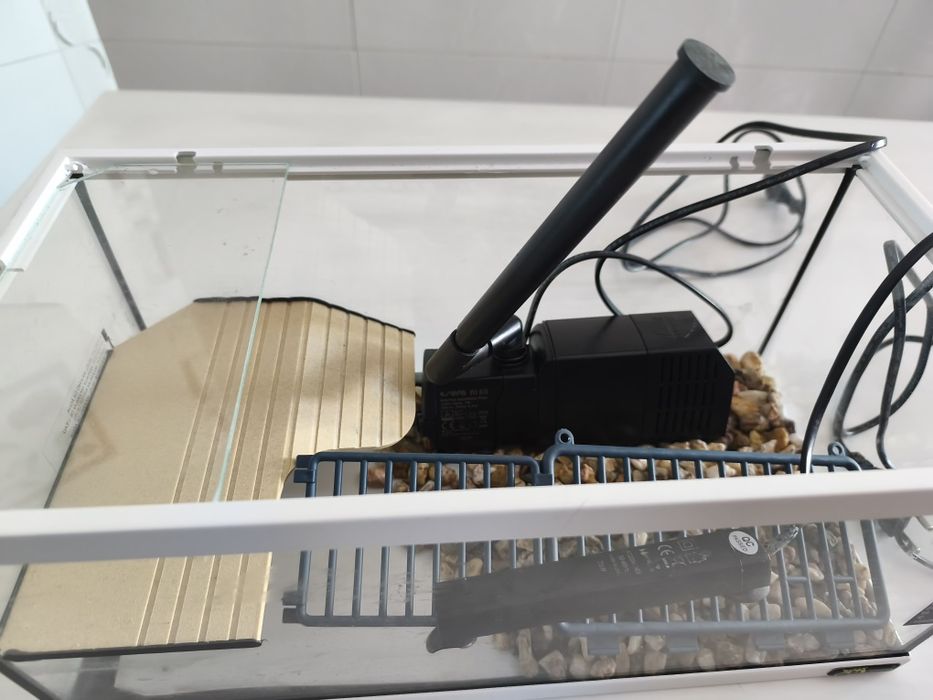 Aquário com plantaforma  tartarugas filtro e termostato