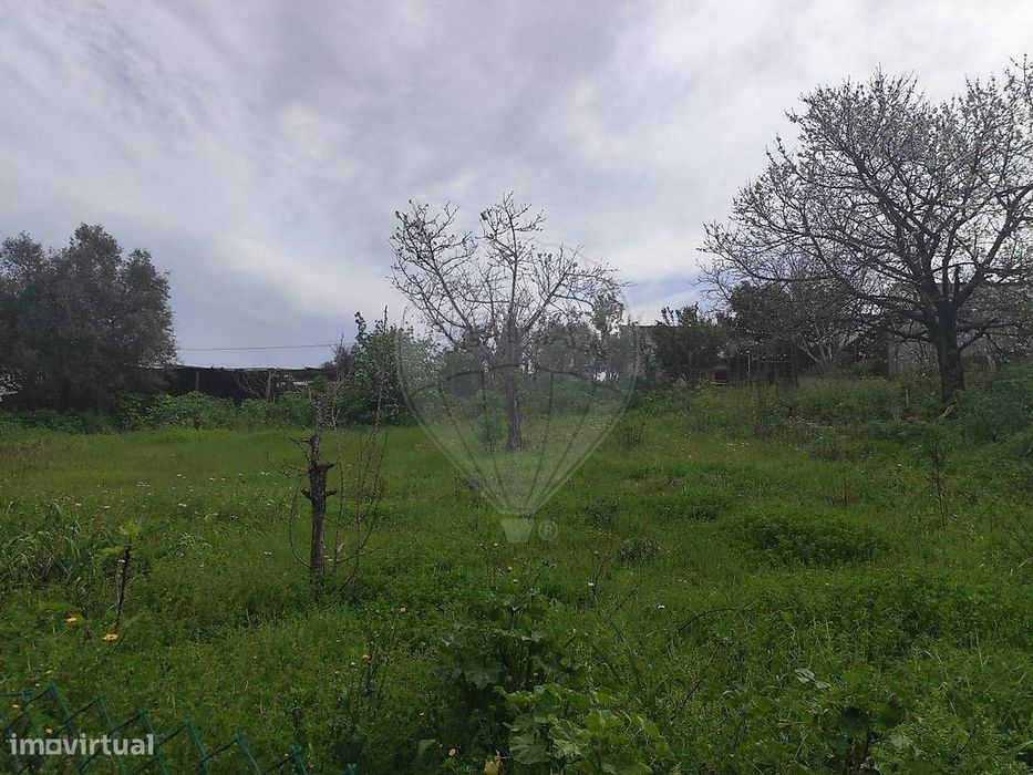 Terreno  para venda