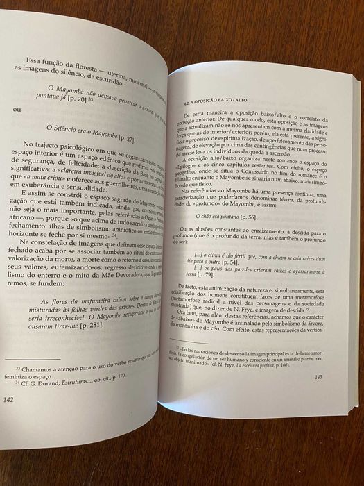 A Máscara do Sagrado, Uma Leitura Mitocrítica de Mayombe - Francisco Salinas Portugal