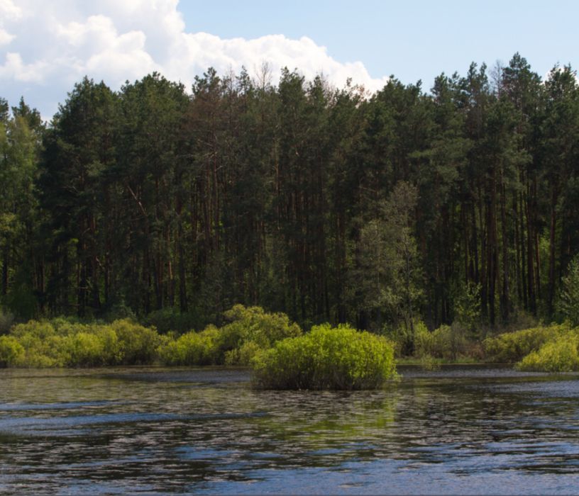 Ділянка зі своїм озером,електрикою,асфальтований заїзд, пряма дорога до Києва 25км