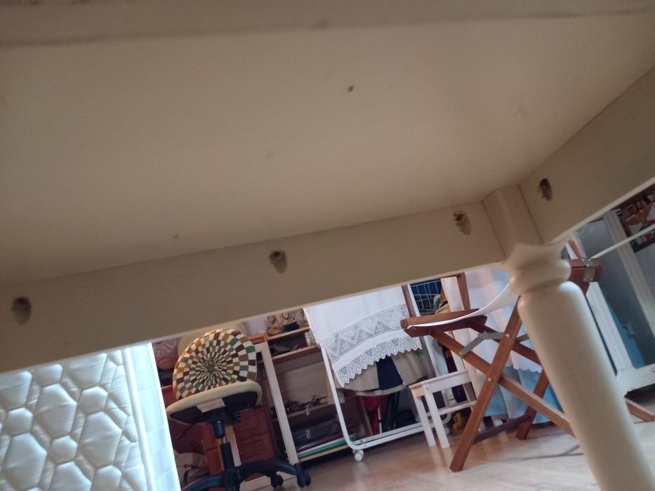 Mesa Companhia inglesa.  Abeto.