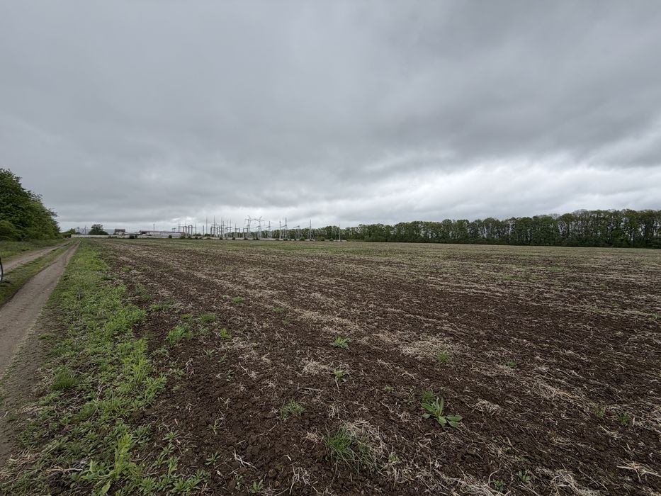 ПРОДАЖ ЗЕМЕЛЬНОЇ ДІЛЯНКИ В ЯКУШИНЦЯХ