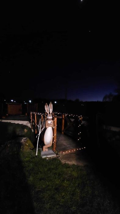 Wynajem domków jezioro/Zalew Sulejowski Panieński/Komunia/Imprezy