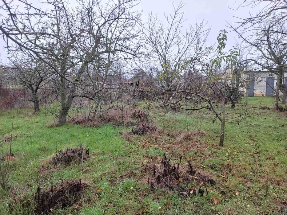 Продам дачу в Светлом