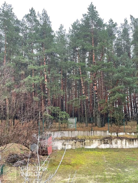 Продаж будинку мрії серед казкового лісу