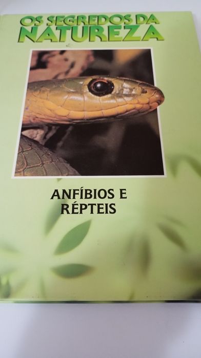 Coleção de 8 livros Segredos da Natureza