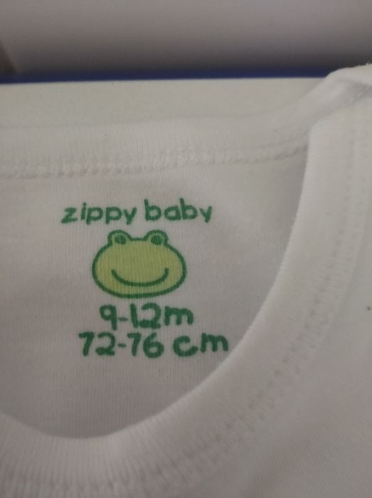 Lote de 5 bodies de manga curta