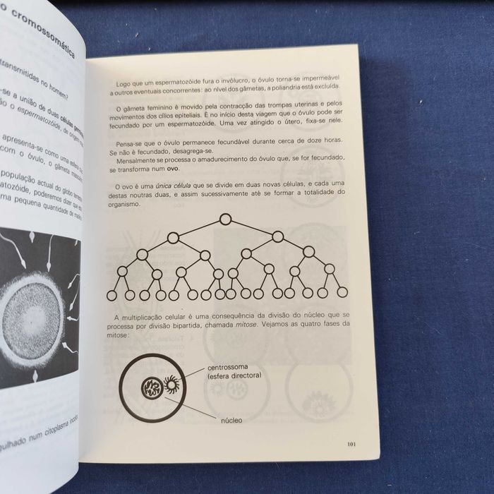 Maria Antónia Abrunhosa e Miguel Leitão - Introdução à Psicologia