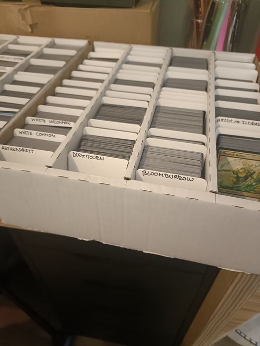 Random Bulk Lot - 1000 cartas Comuns e Incomuns - Inclui Portes - Magi