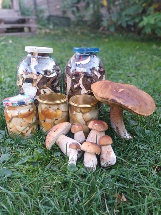 Білі гриби.Сушені білі гриби.Мариновані білі гриби