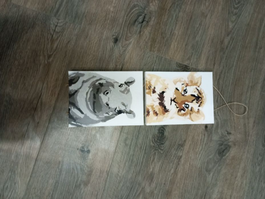 Дві картини животі