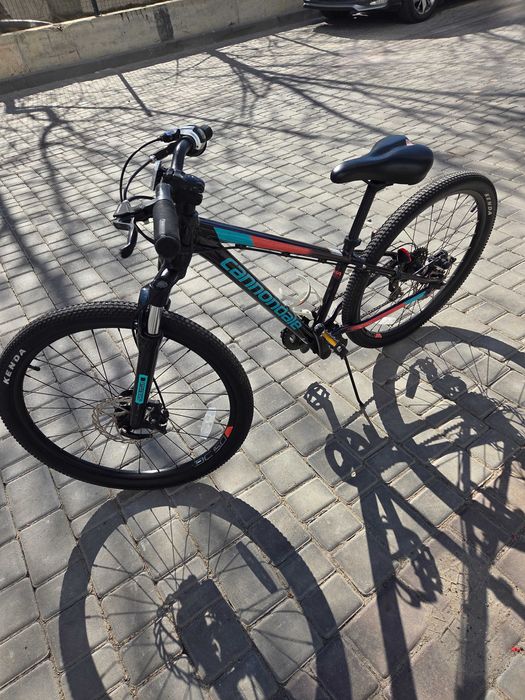 Connadal trail 24"