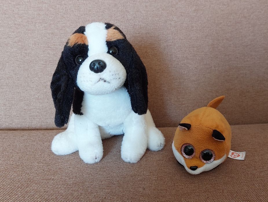 М'які іграшки глазастики TY Beanie Boos 15 см