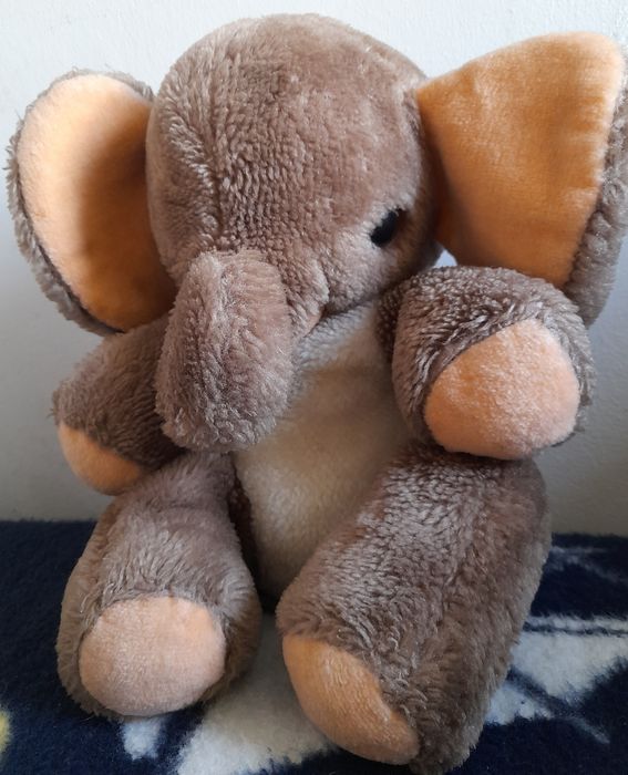 Słoń brązowy z białym brzuchem